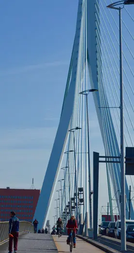 Fietstocht in Rotterdam