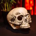 Thumbnail of http://img