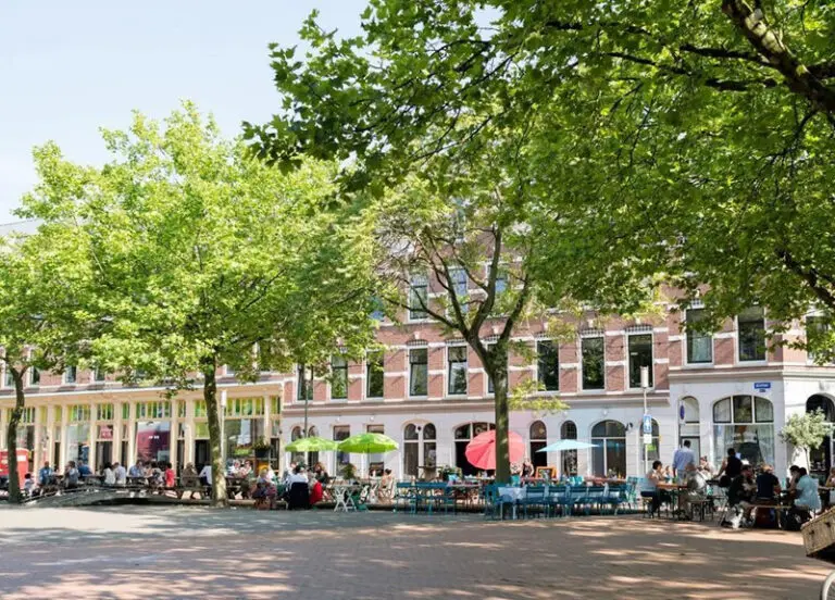 Dagprogramma | Bij ons op Katendrecht