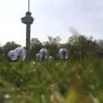 Thumbnail of http://img