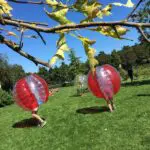 Thumbnail of http://img