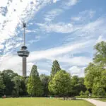 Thumbnail of http://img