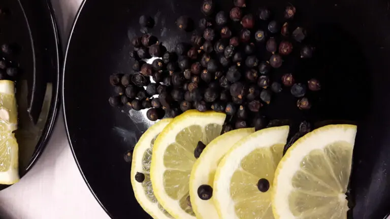 Gin- en Tonicproeverij