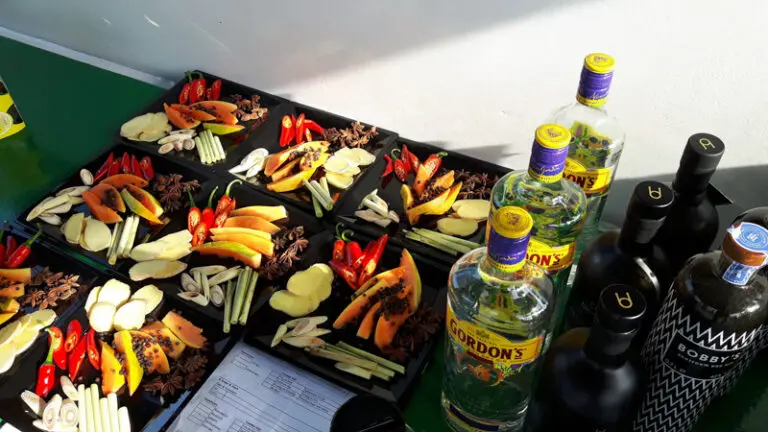 Gin- en Tonicproeverij