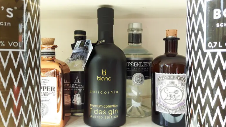 Gin- en Tonicproeverij