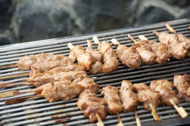 Varend Terras met BBQ