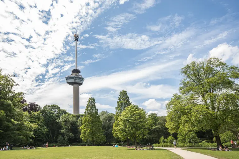 Avondprogramma | Walking Dinner with a View