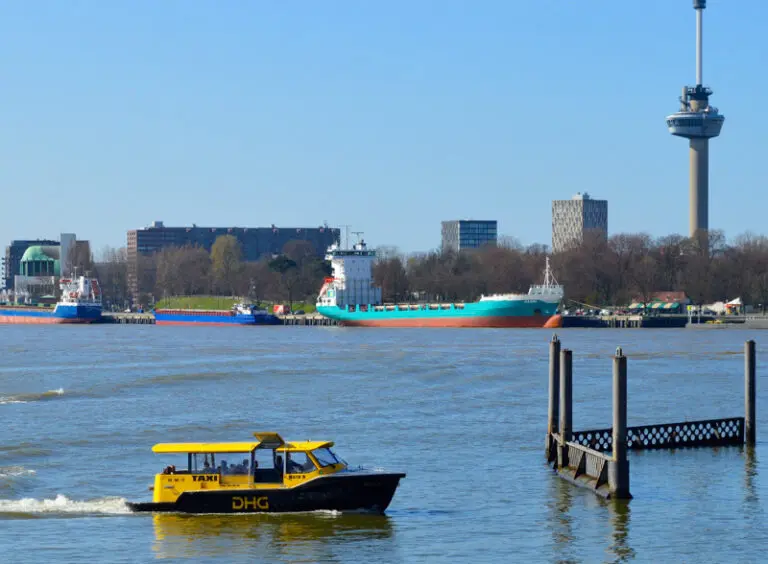 Walking & Floating Lunch