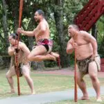 Thumbnail of http://img