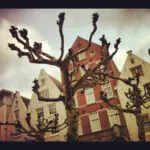 Thumbnail of http://img