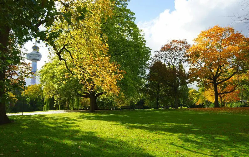 Het Park met de Euromast op de achtergrond