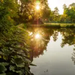 Thumbnail of http://img