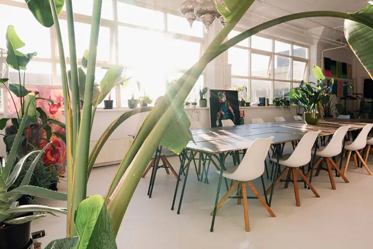 Dutch Art Room