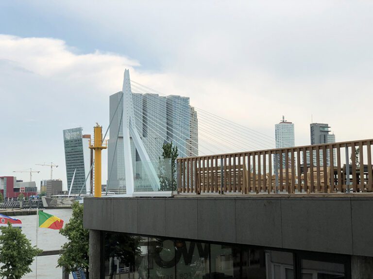 Rotterdam View