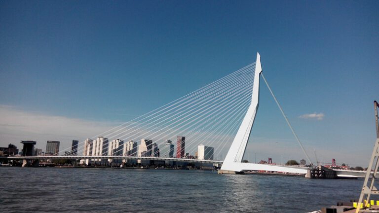 Puur Rotterdam Wandeling